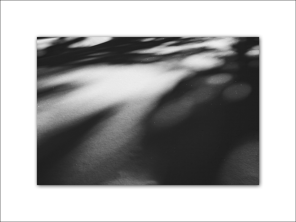 2011 Yosemite 070.jpg