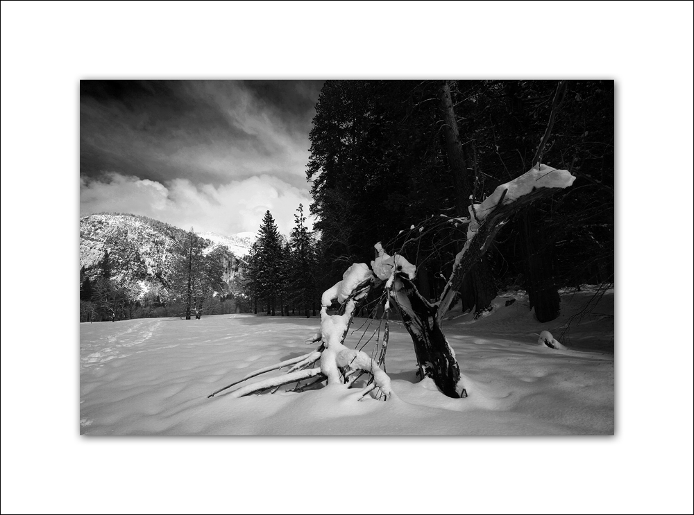 2011 Yosemite 077.jpg