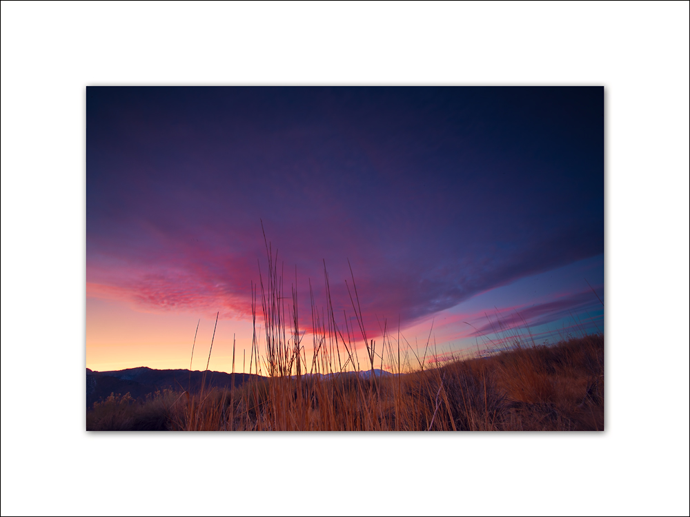 Salon Portrait Shots 052.jpg