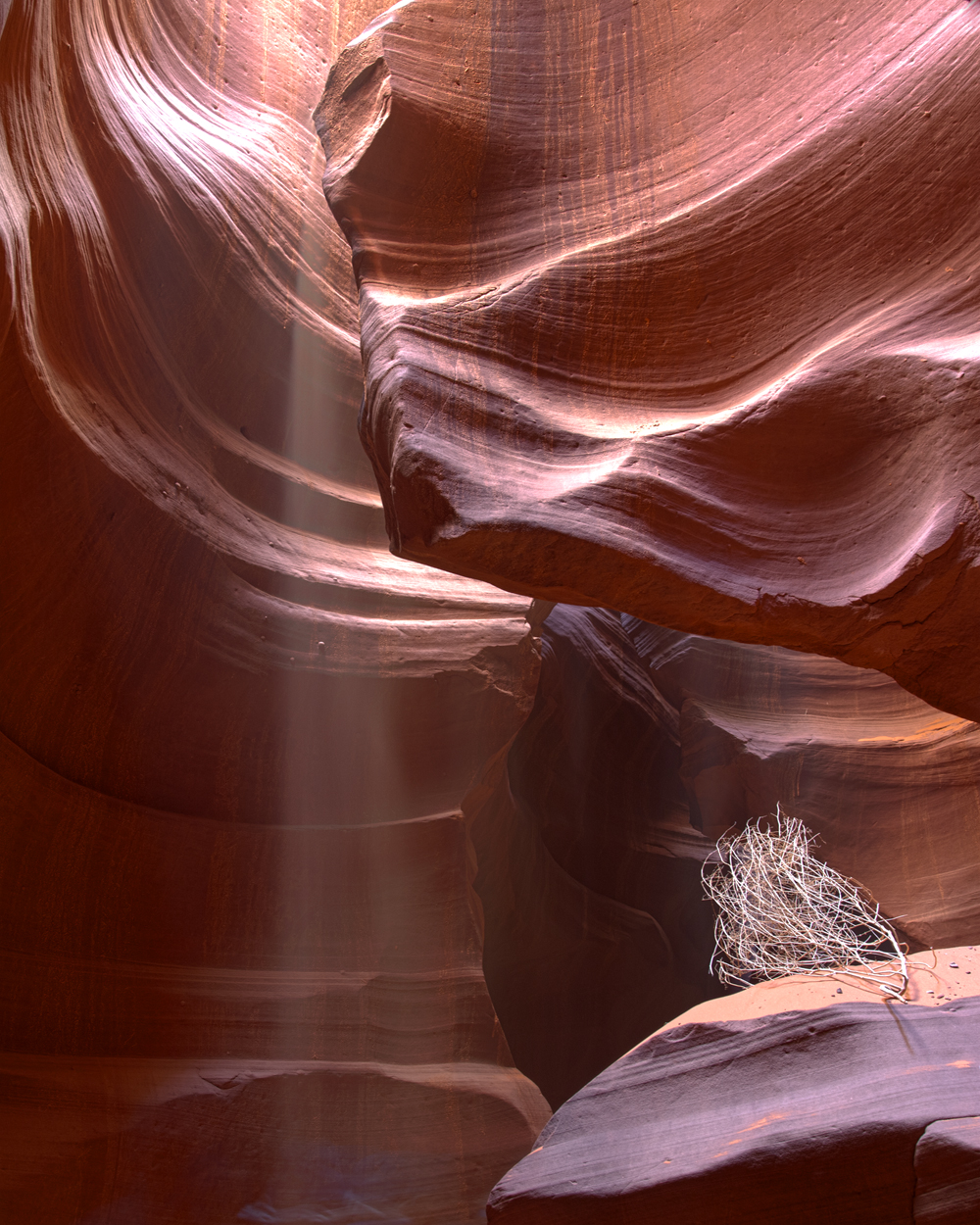 Slot Canyon 5 S.jpg