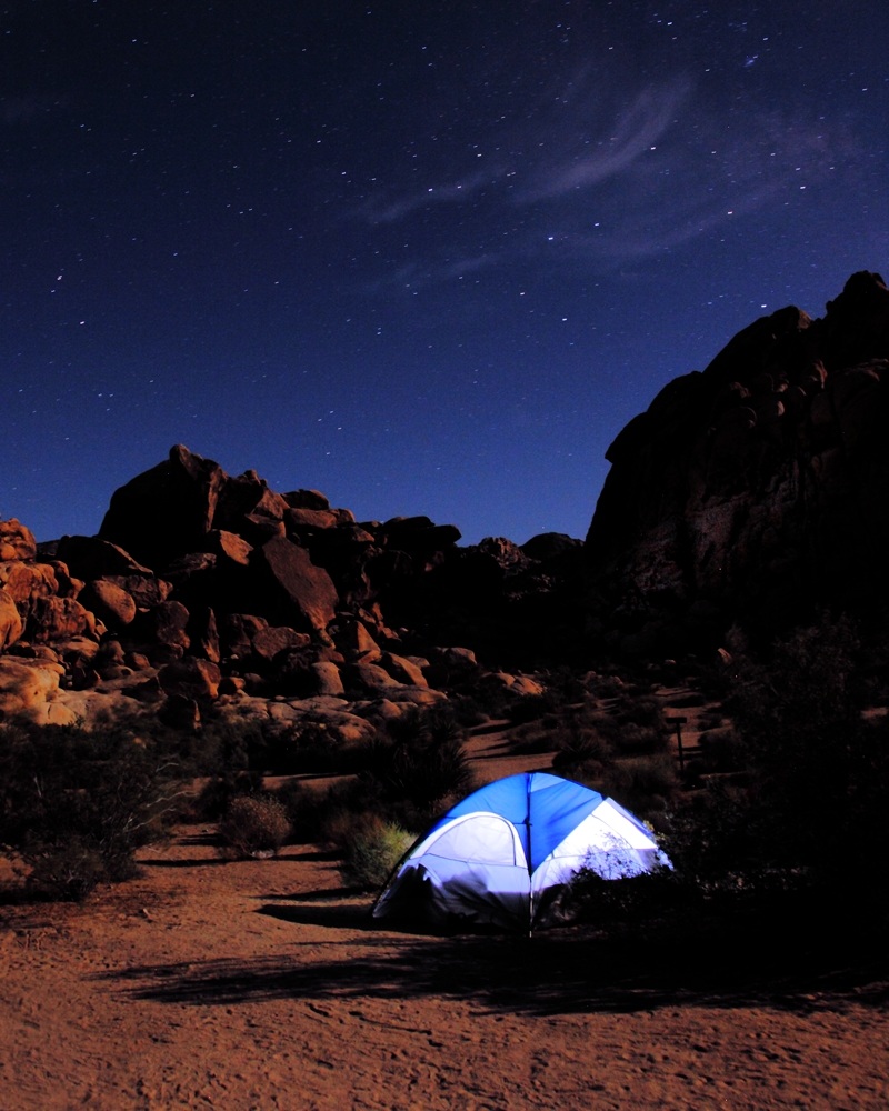 2011-06-11-JTNP Camping_301ls.jpg
