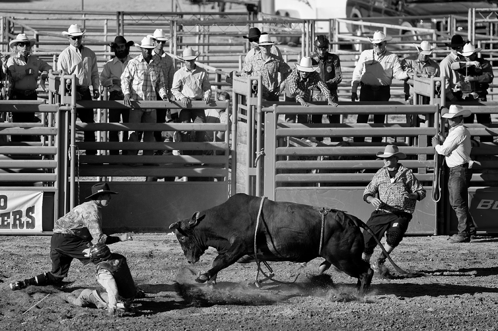 San Dimas Rodeo 1.jpg