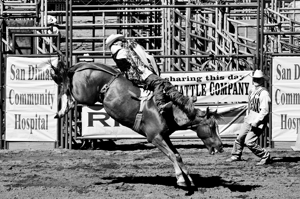 San Dimas Rodeo 2.jpg