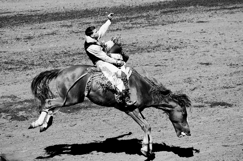 San Dimas Rodeo 3.jpg