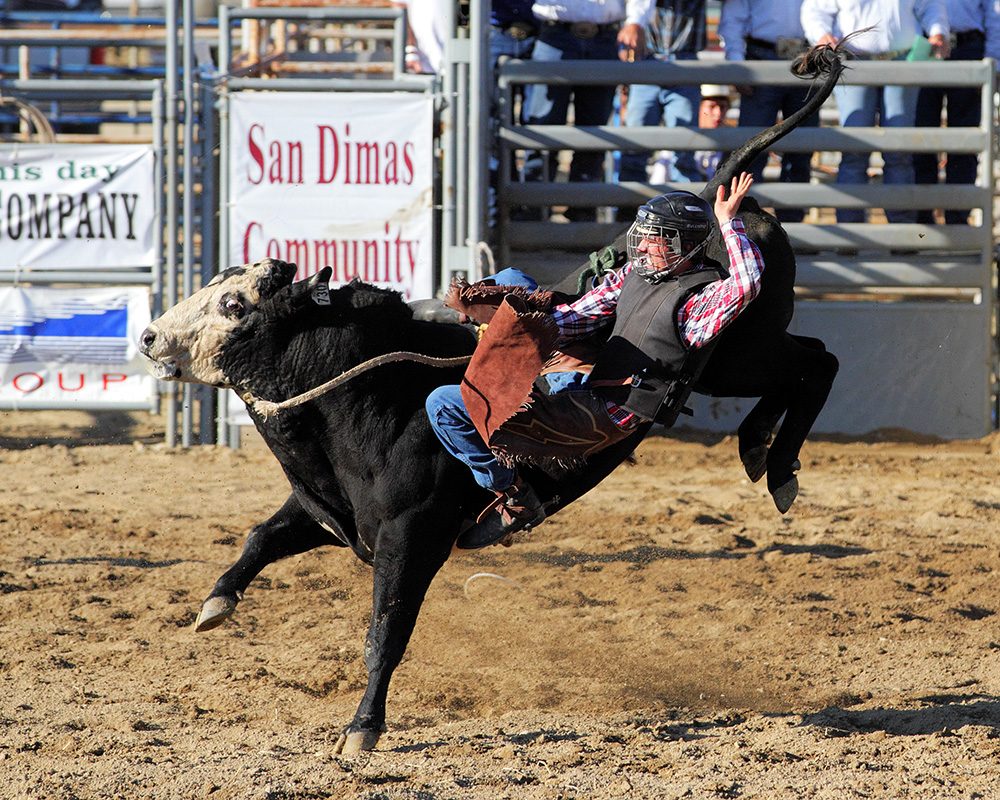 2011-10-02-Rodeo-291s.jpg