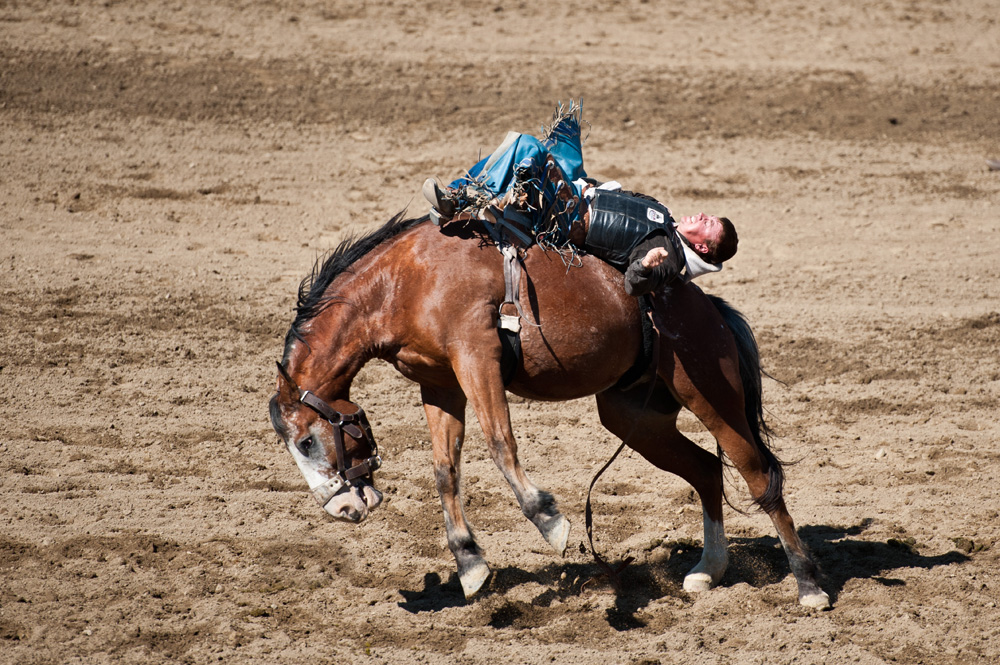 San Dimas Rodeo 4.jpg