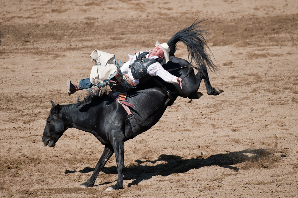 San Dimas Rodeo 5.jpg