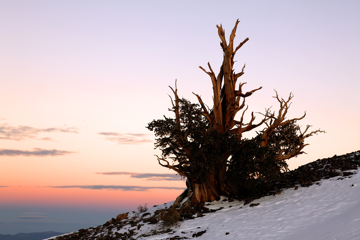 2011-10-07-White Mountain-031s.jpg