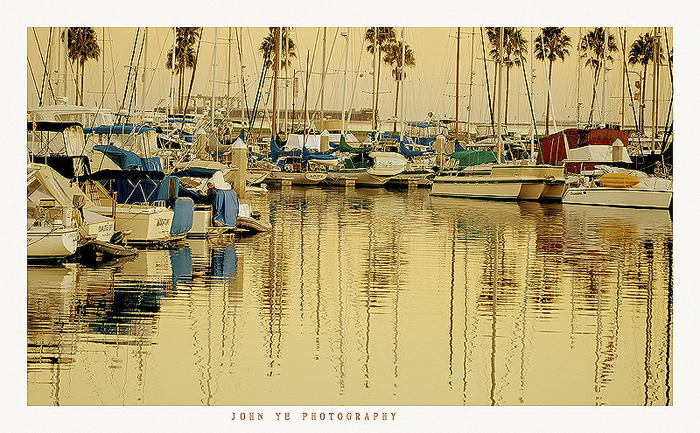 DSC_4467 copy111.jpg