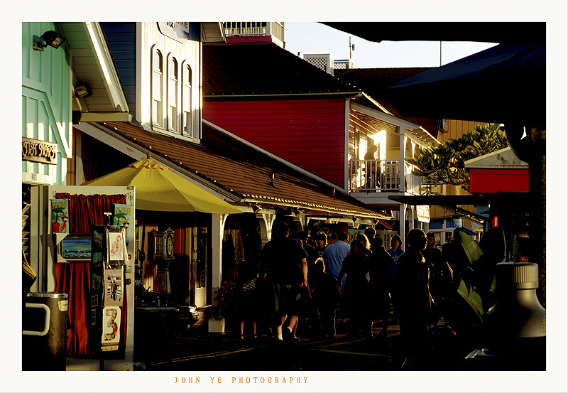 DSC_4455 copy888.jpg