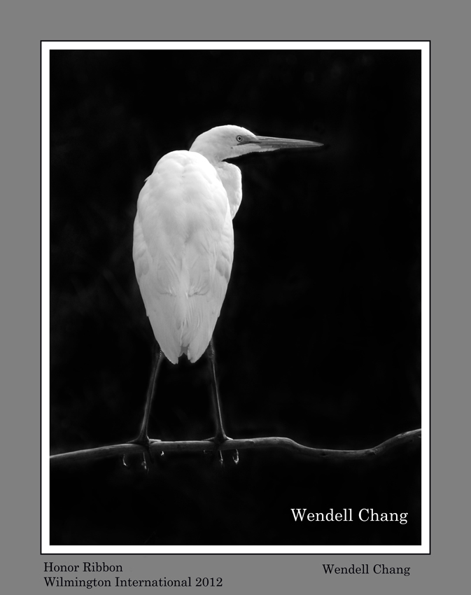 WC-White Egret-Name-S.jpg