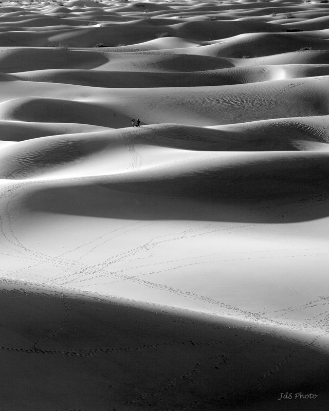 2012-03-10a-Sand Dunes-101s.jpg