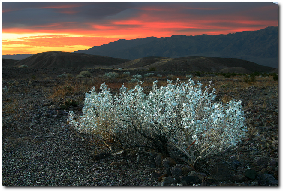 83696091.ezZRYODY.DeathValley388copy.jpg