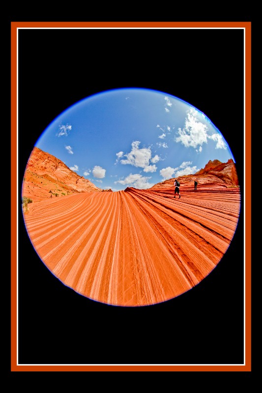 utal-1 (533x800).jpg