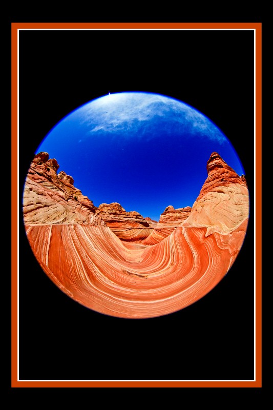 utal-2 (533x800).jpg