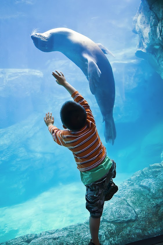 Ying Huadong （备用）.jpeg