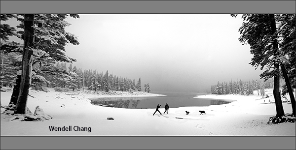 M3-Playing with Dog-1S.jpg