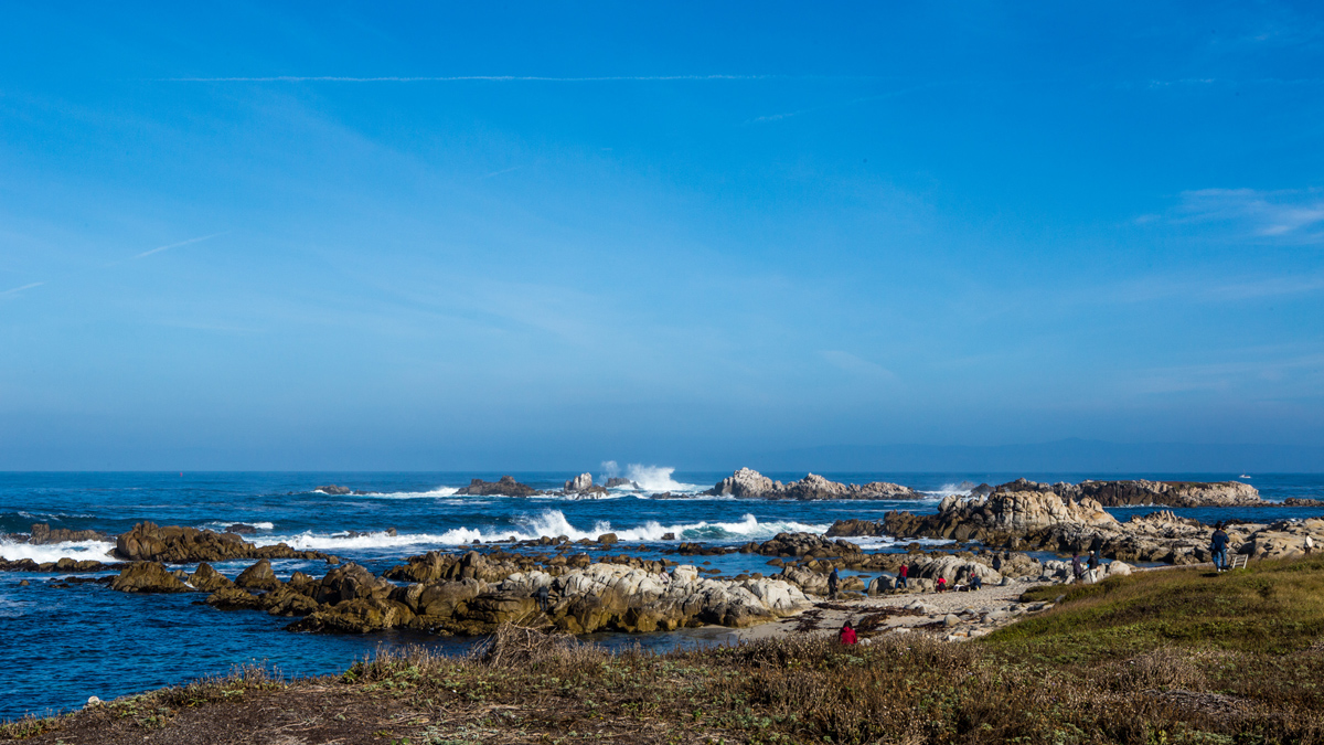 Monterey-3.jpg