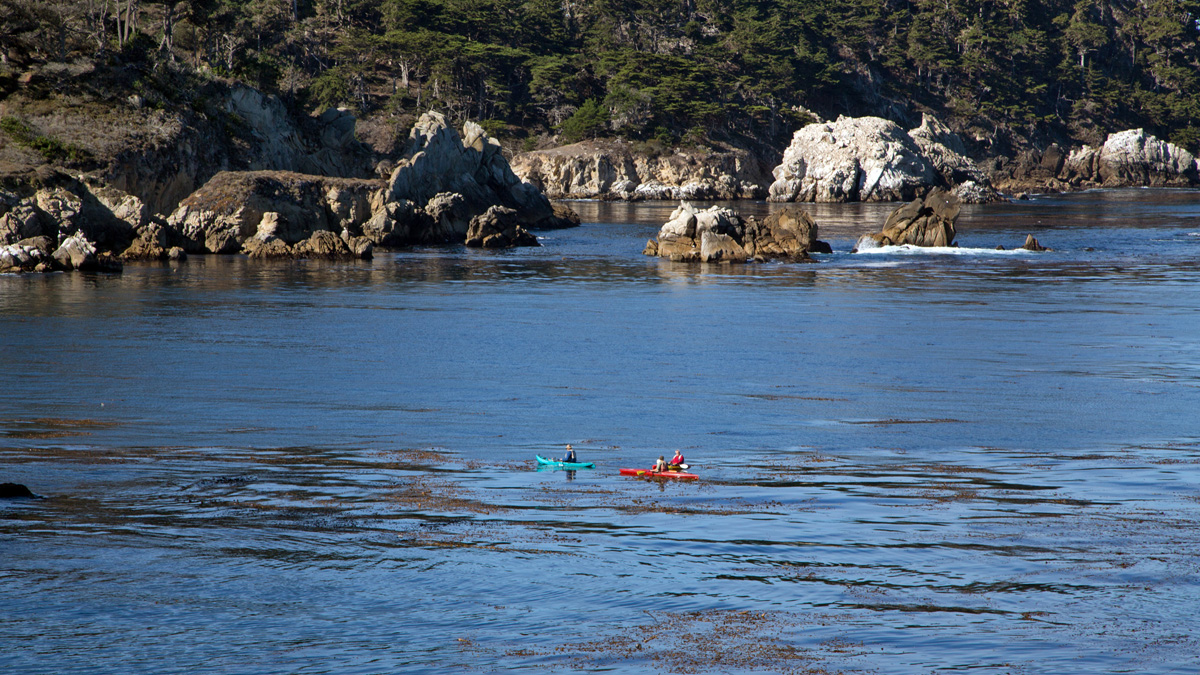 Point Lobos.jpg