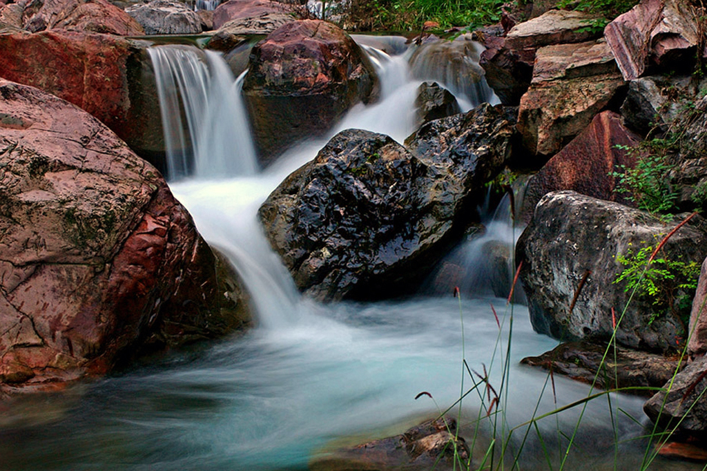 #01 CE ACC WANG YI.jpg