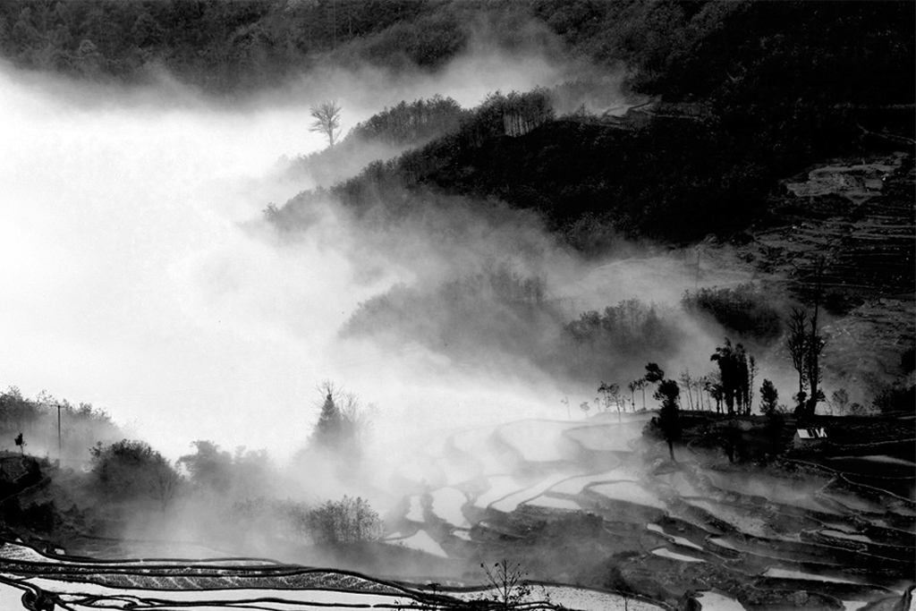 #01 ce wang yi acc.jpg