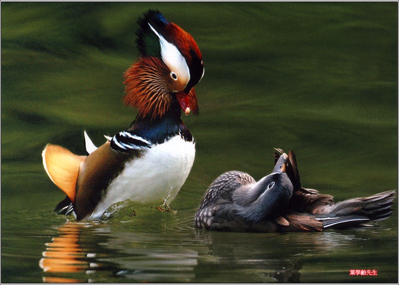 2 uyen uong dang gai.jpg