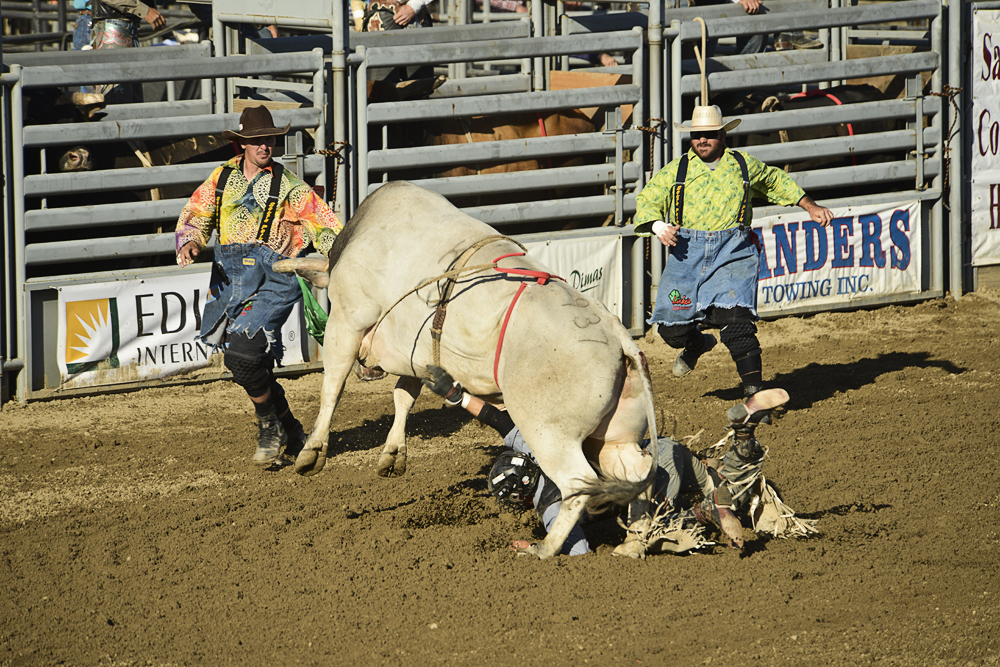 2013 San Dimas Rodeo Photo 9.jpg