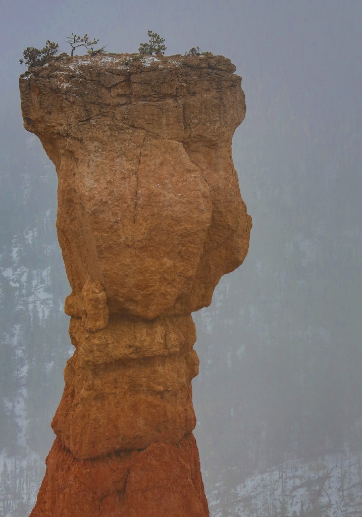 K19A2669 (717x1024).jpg