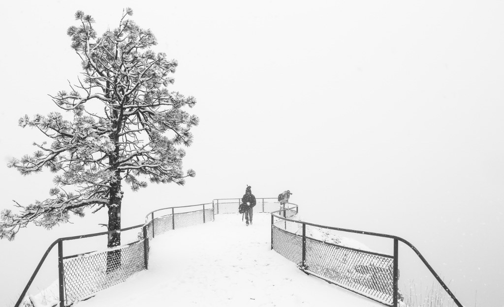 K19A2879 (1024x625).jpg