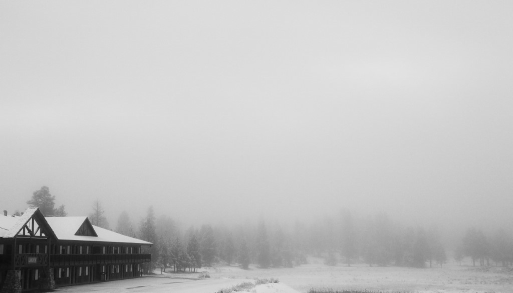 K19A2797A (1024x586).jpg