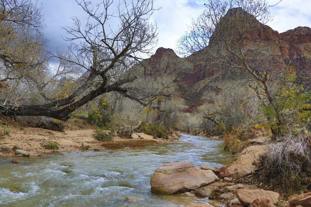 K19A3094 (1024x683).jpg