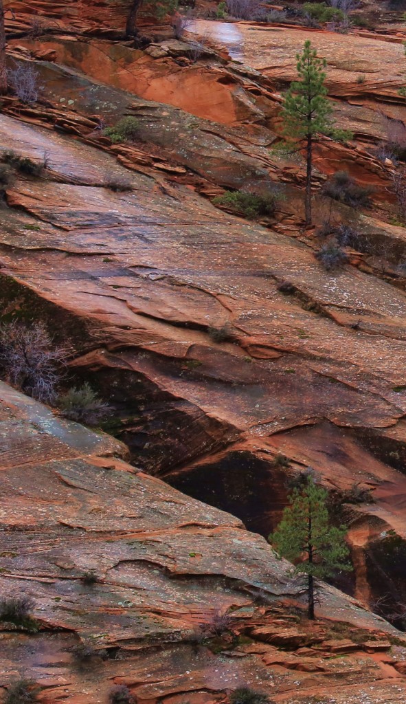 K19A3052 (591x1024).jpg