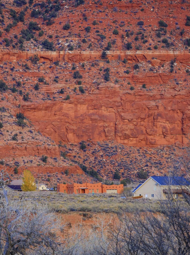 K19A2445 (764x1024).jpg