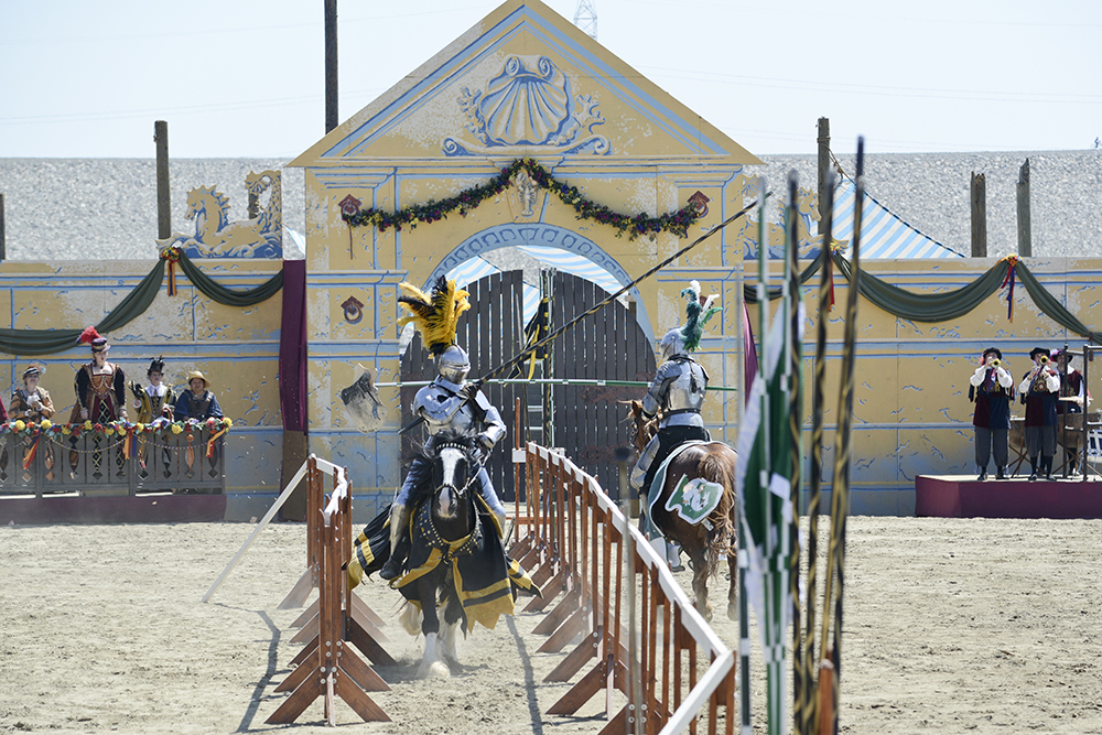 2014 Renaissance Fair Photo 4.jpg