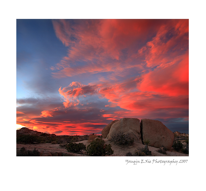 JTNP_MG_9361-C2-Framed.jpg