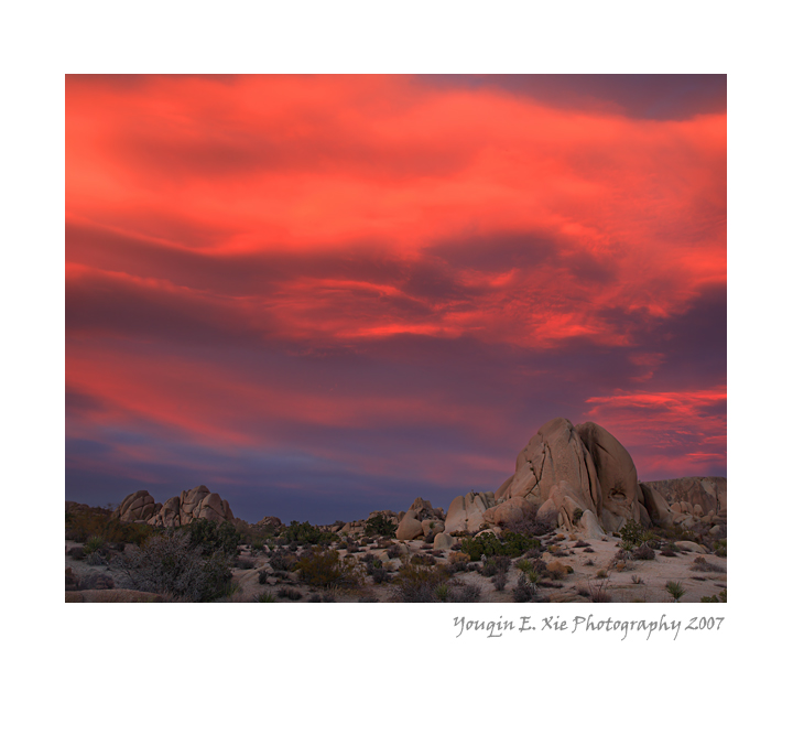 JTNP_MG_9355-B2-Framed.jpg