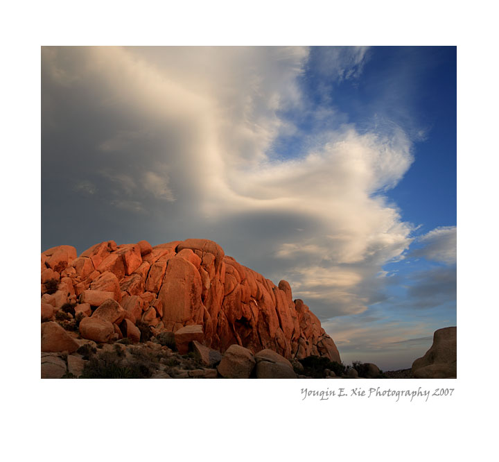 JTNP_MG_9301 2Framed.jpg
