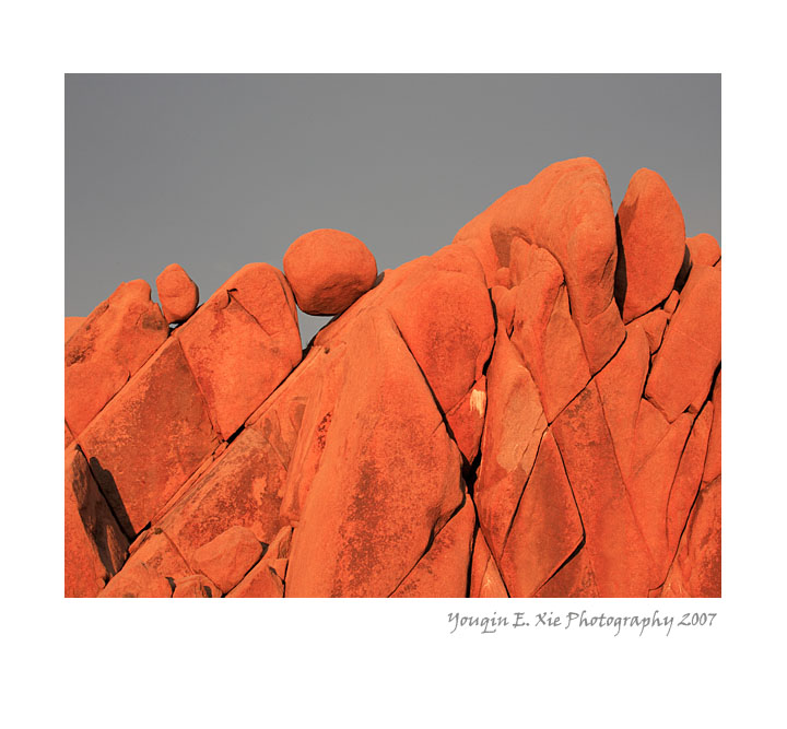 JTNP_MG_9284 2Framed.jpg