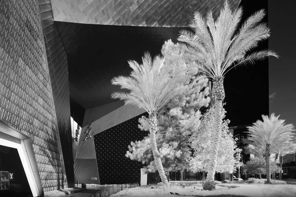 Las Vegas Photo 14.jpg