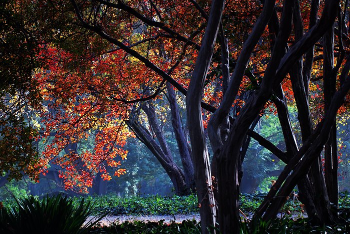 D20_4320 700x469.jpg