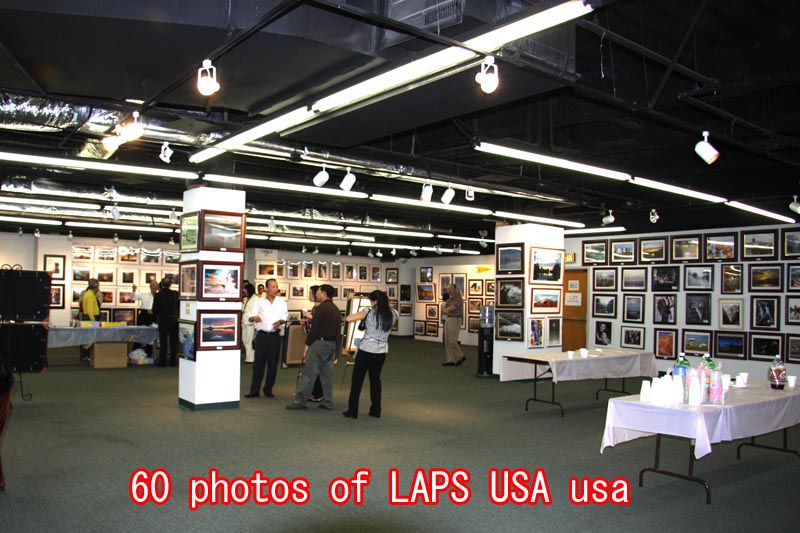 LAPS USA.jpg