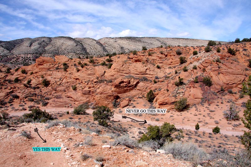 THE RIGHT WAY FINAL.jpg