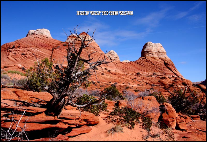 HALF WAY TO WAVE.jpg