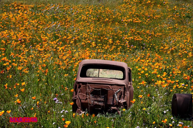ELSINORE LAKE # 0 FINAL.jpg