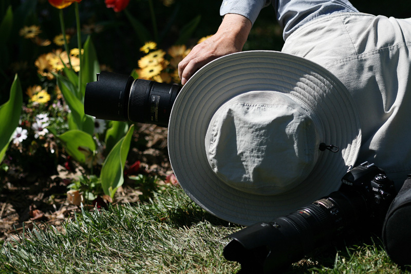 Copy (1) of Copy (2) of IMG_8762.JPG