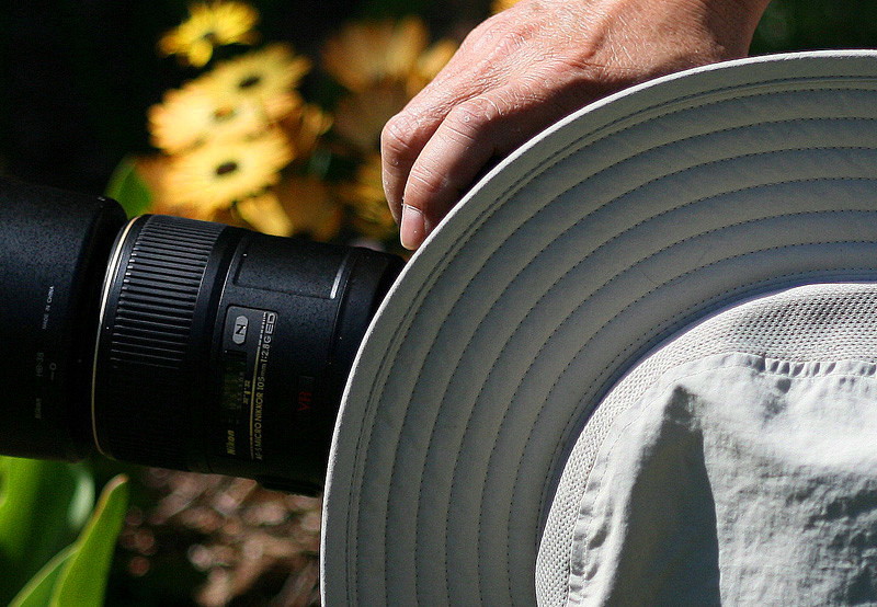 Copy (2) of Copy (2) of IMG_8762.JPG