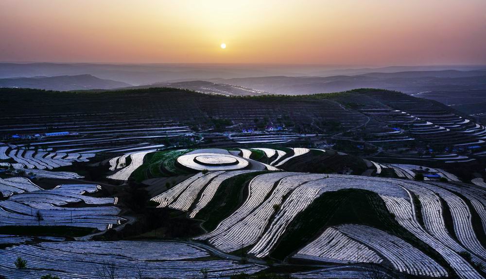 002_《昔日的黄土高坡》（宁夏彭阳县梯田）.jpg