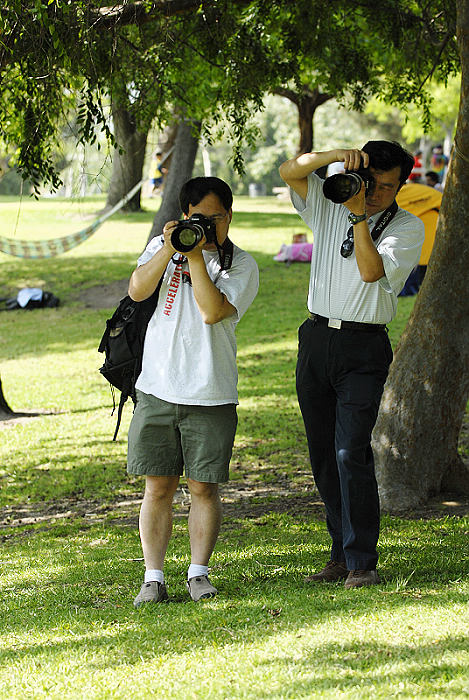 _D208179 700x469.jpg