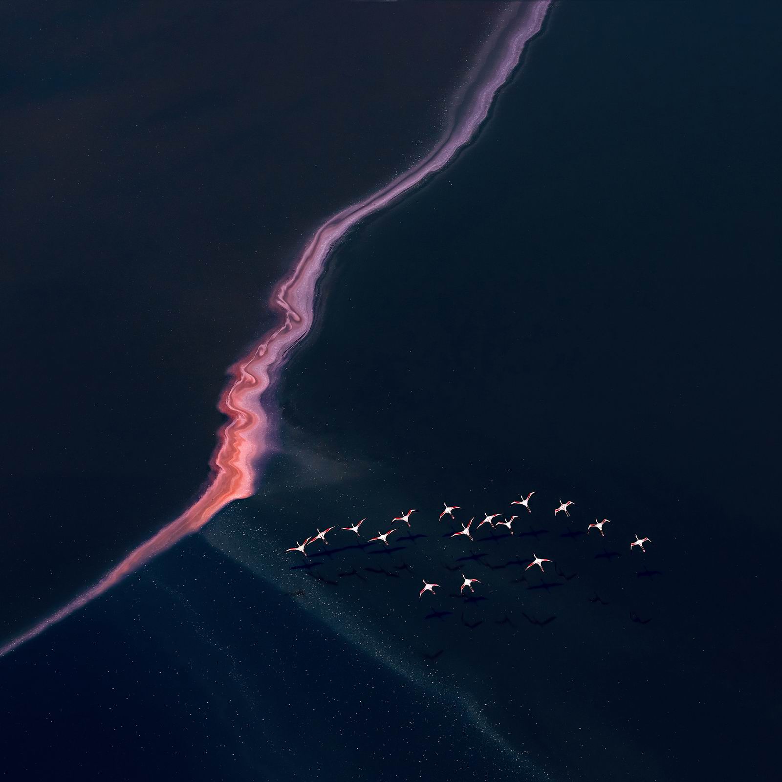 0003_01_熔岩灼夜-火烈鸟-005 .JPG