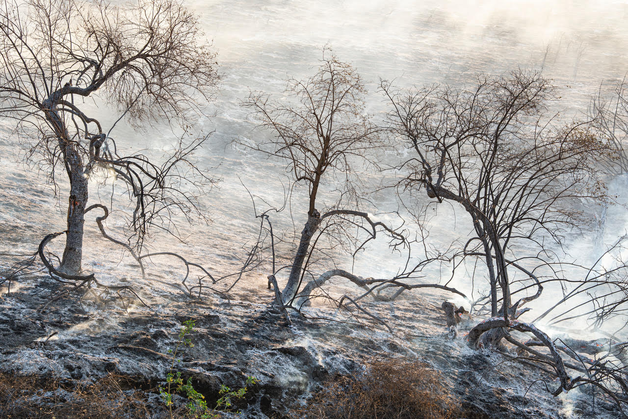 0037_Yorba Linda 山火_5.jpg